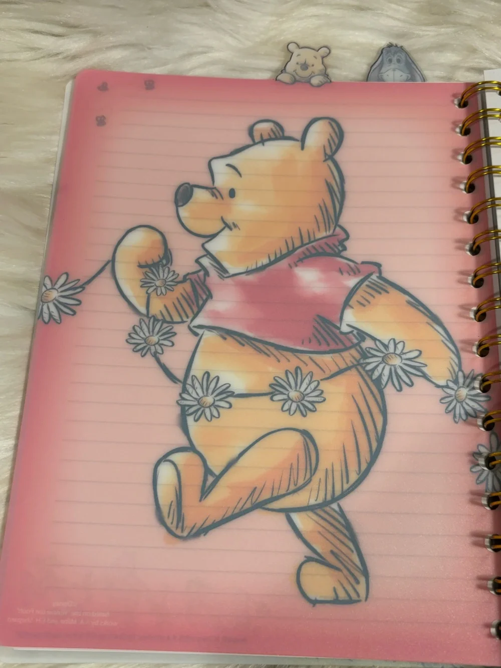 Disney winnie pooh